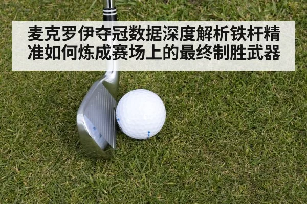 麦克罗伊夺冠数据深度解析铁杆精准如何炼成赛场上的最终制胜武器