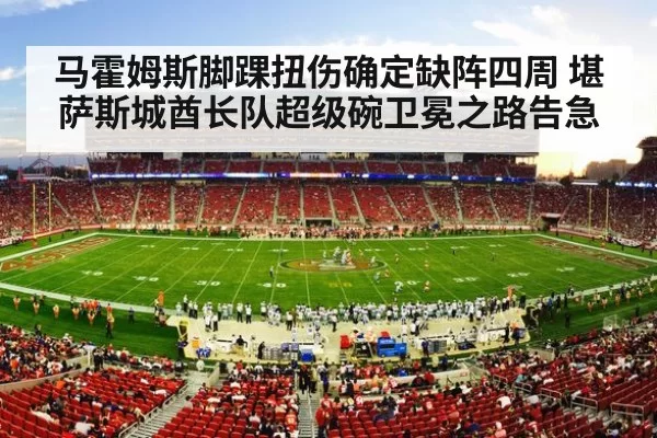 NFL football stadium